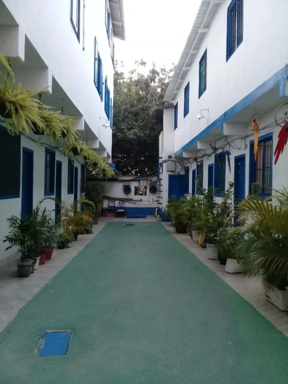 Kitnet - Rio de Janeiro - Rio de Janeiro